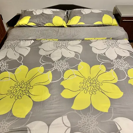 Daire Glass In Old House Riga